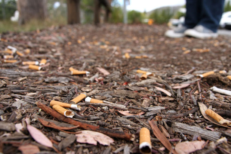 5 ways cigarette litter impacts the environment